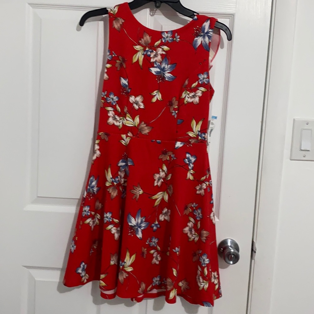 Junior’s Floral Ruffle Back Dress
